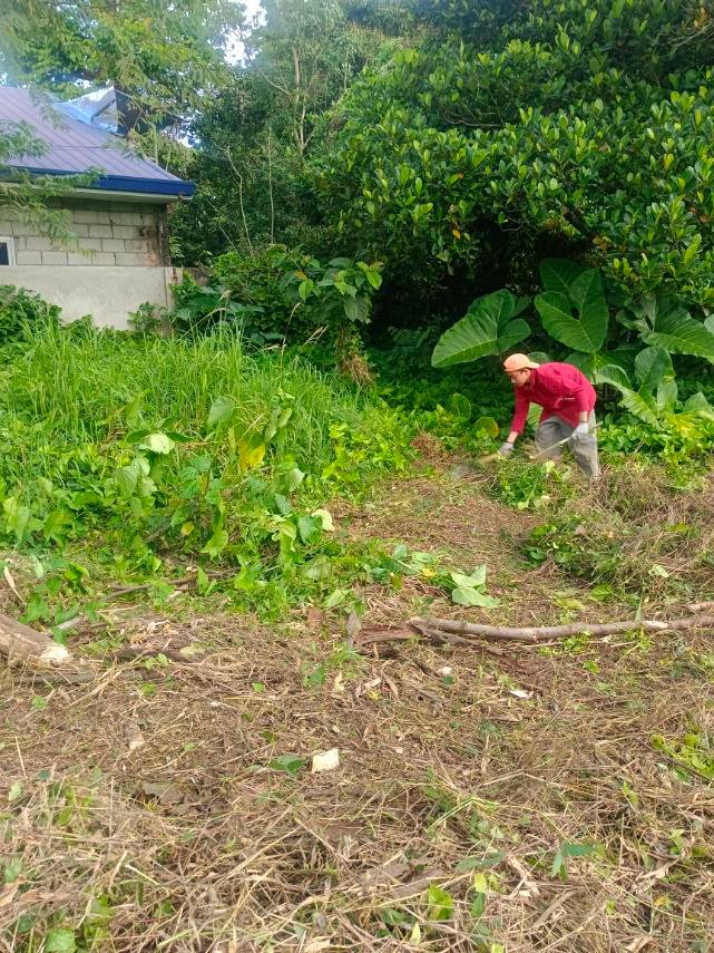 viber_image_2026-01-25_09-02-15-697