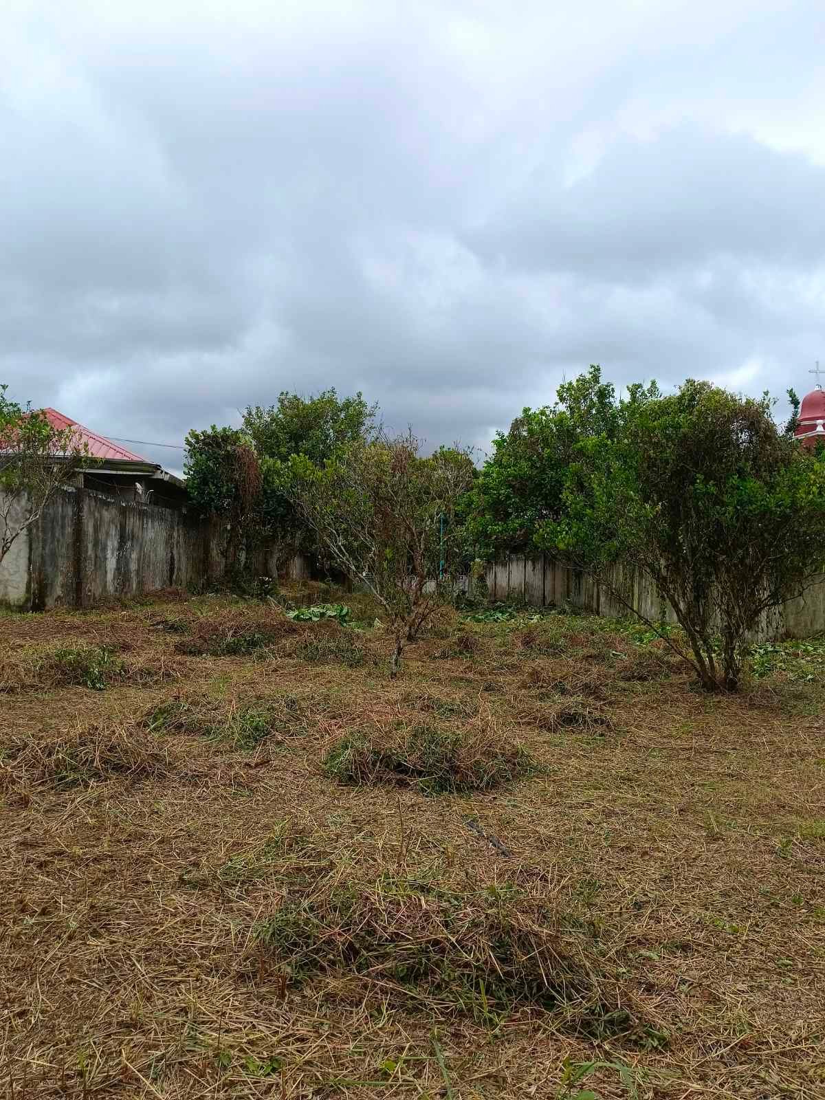 viber_image_2026-01-26_12-57-46-146