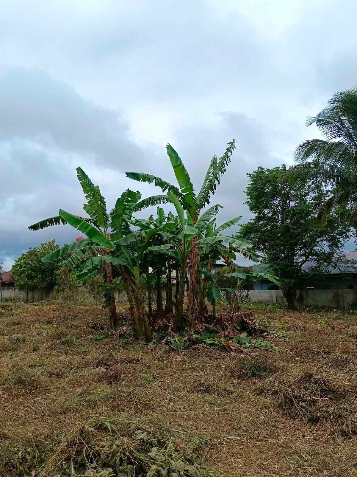 viber_image_2026-01-26_12-57-46-279