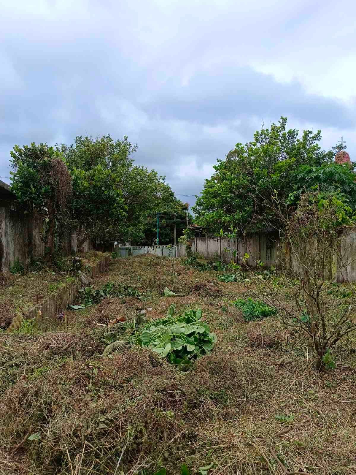 viber_image_2026-01-26_12-57-46-338