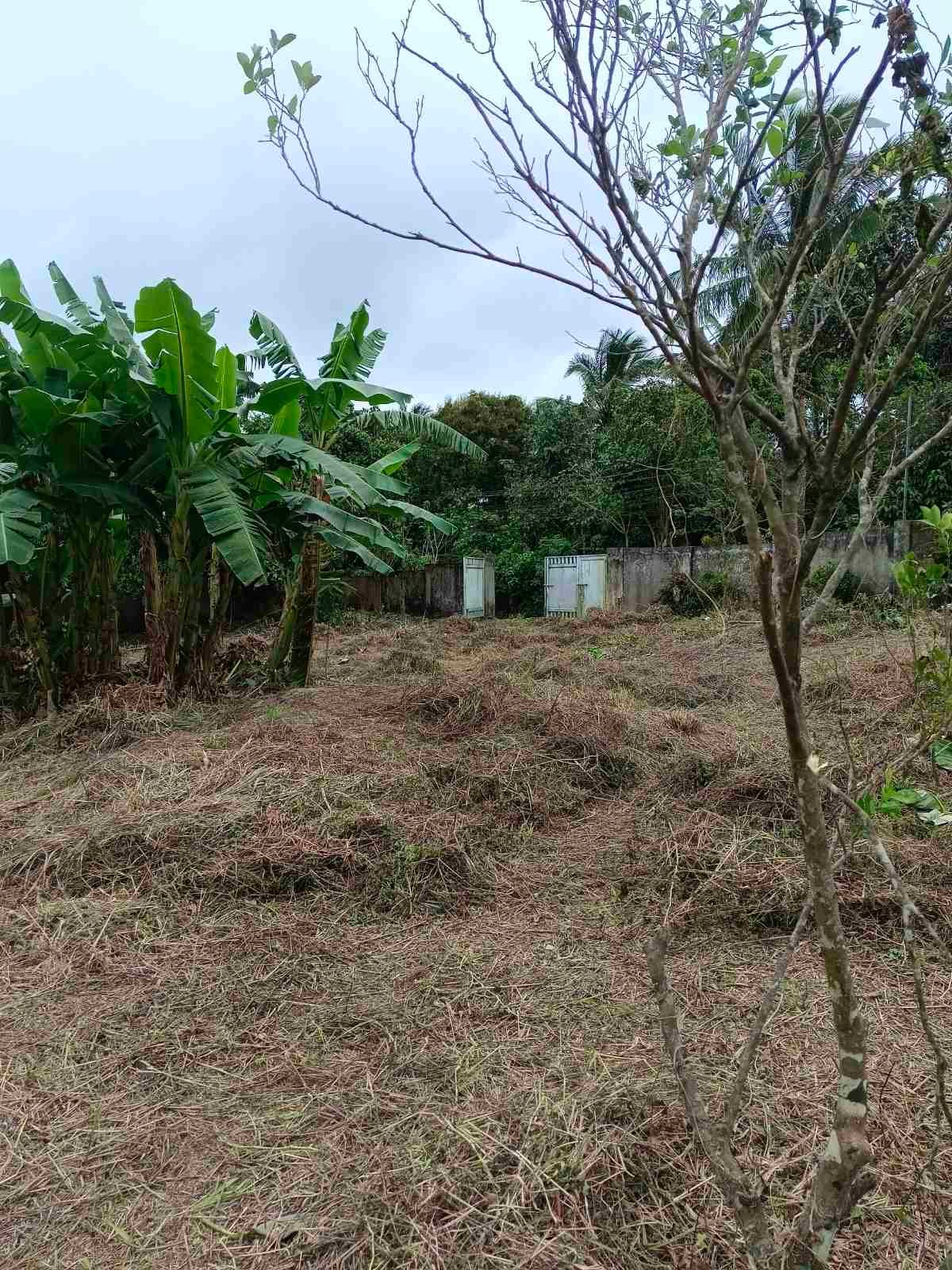 viber_image_2026-01-26_12-57-47-253