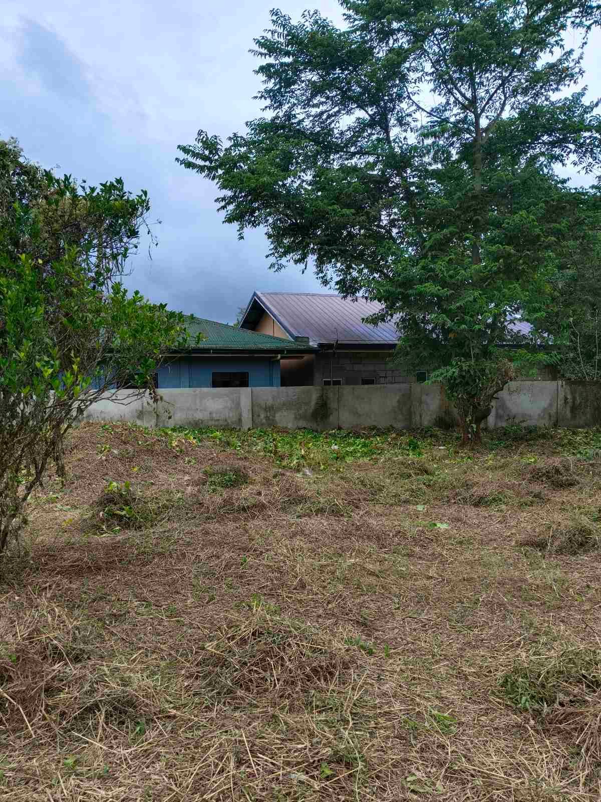 viber_image_2026-01-26_12-57-47-322